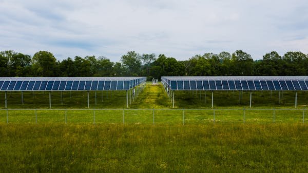 Panneau solaire photovoltaïque : l'avis des clients révélateur